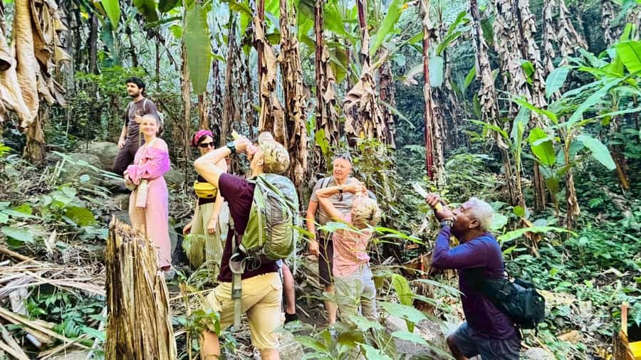 Chiang Rai: Jungle Adventure-Group Trekking & Bamboo Cooking - What to bring for a better day