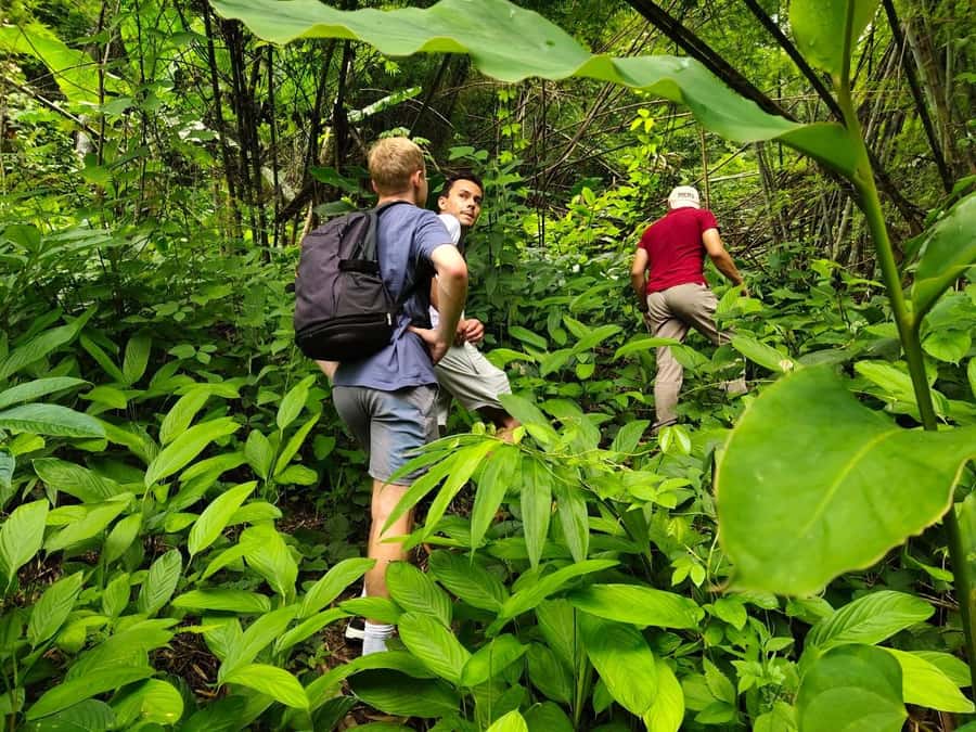 Chiang Rai: Jungle Adventure-Group Trekking & Bamboo Cooking - Walking through Lahu, Akha, and China villages