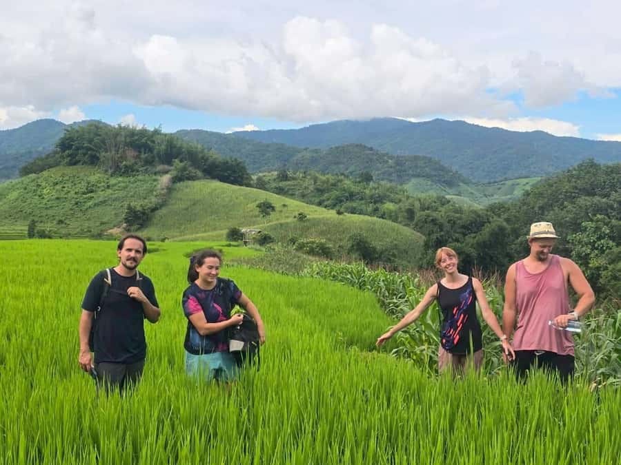Chiang Rai: Jungle Adventure-Group Trekking & Bamboo Cooking - The bamboo lunch is the heart of the day