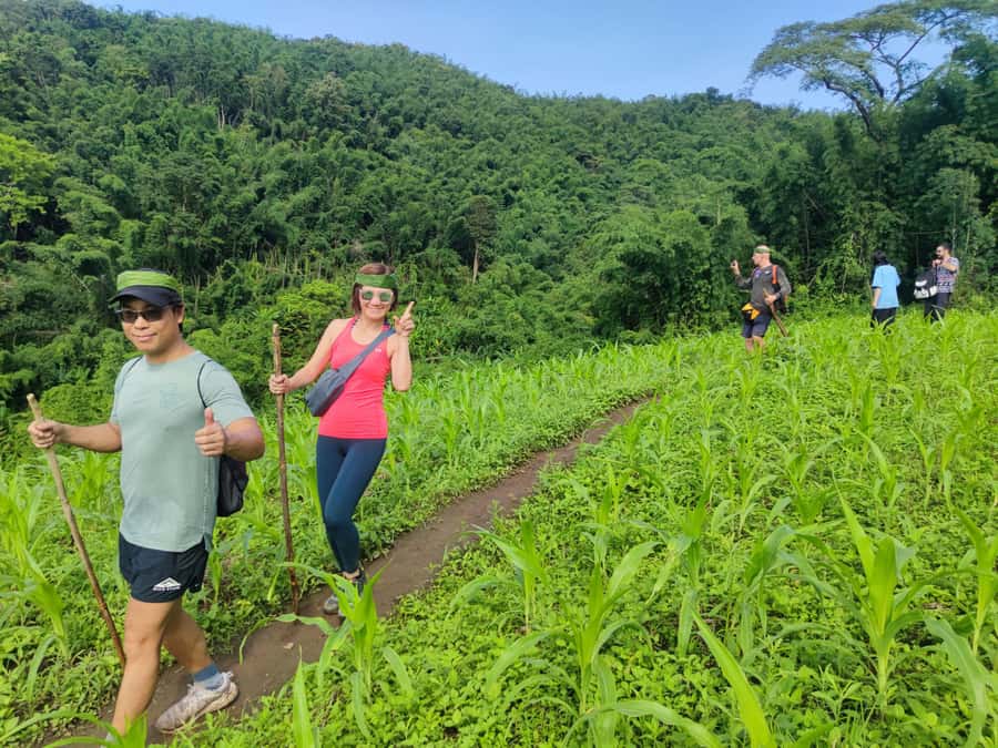 Chiang Rai: Jungle Adventure-Group Trekking & Bamboo Cooking - Waterfall time after the hardest walking