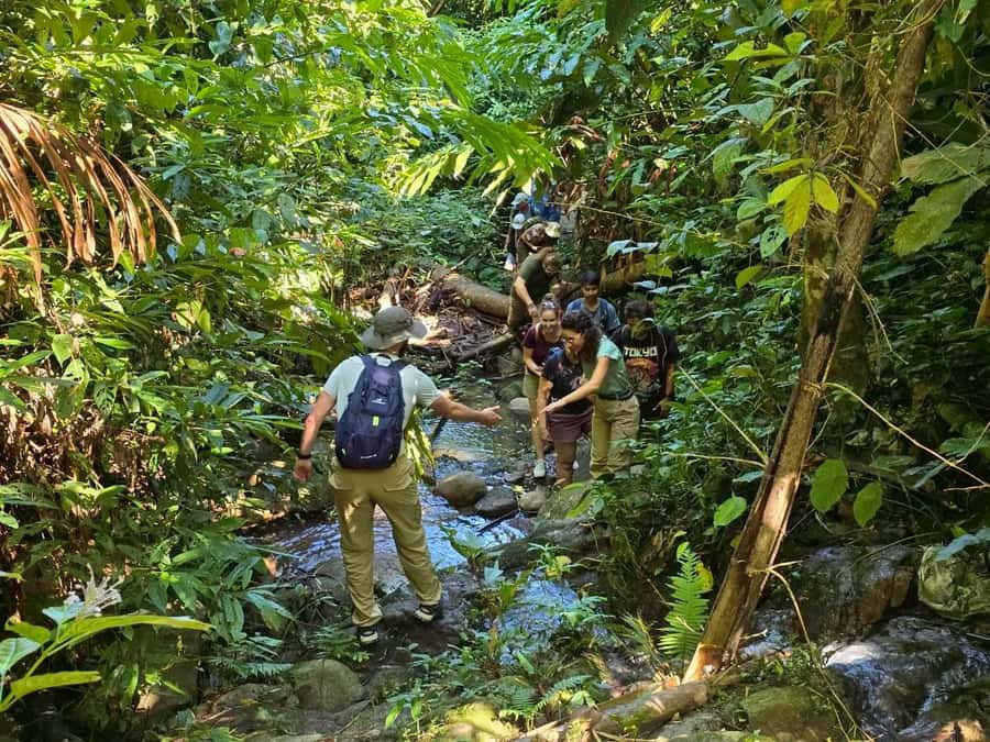 Chiang Rai: Jungle Adventure-Group Trekking & Bamboo Cooking - From Pa Soert Hot Spring to tea country