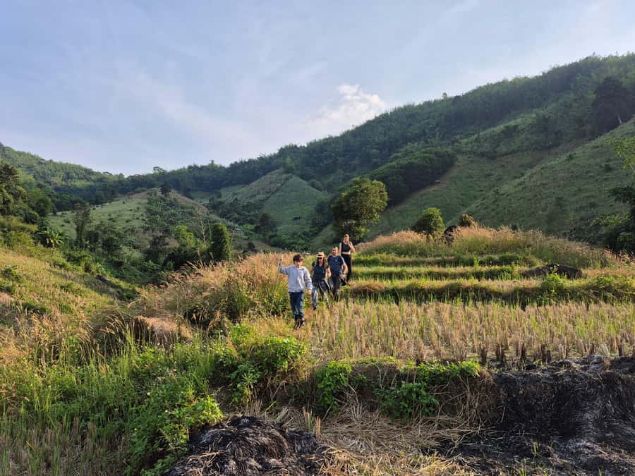 Chiang Rai Jungle Trek & Bamboo Tube Cooking Adventure - Who will enjoy this Chiang Rai day