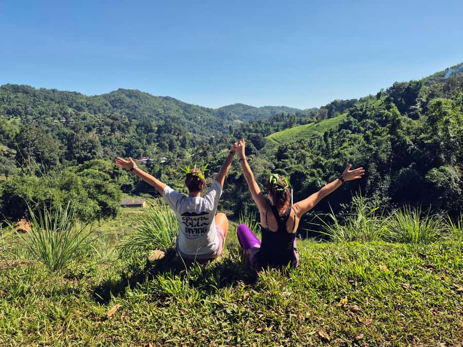 Chiang Rai Jungle Trek & Bamboo Tube Cooking Adventure - Tea plantation views along the route