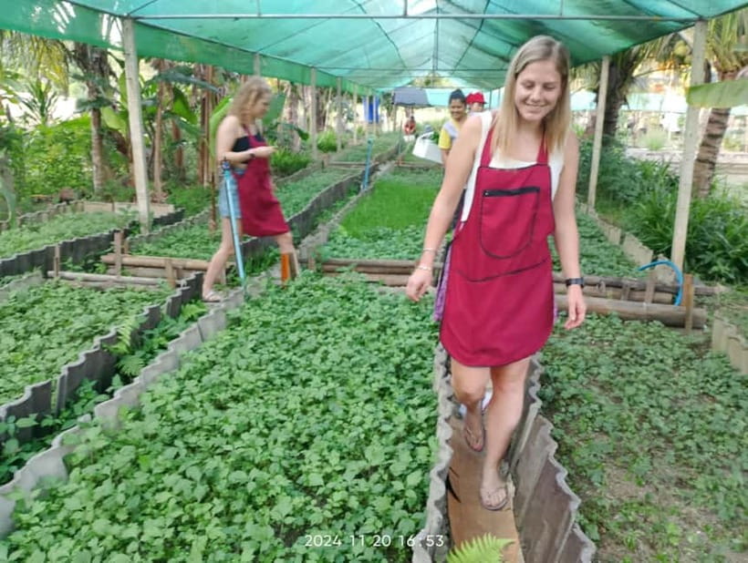 Chiang Rai:Lanna Home Cooking Class at Give Green Farm House - Morning or afternoon class?