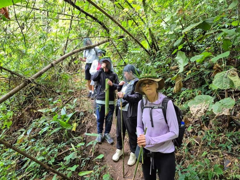 Chiang Rai: The Adventure of Trekking & Bamboo Cooking - Huai Kaeo Waterfall and a useful cool-down