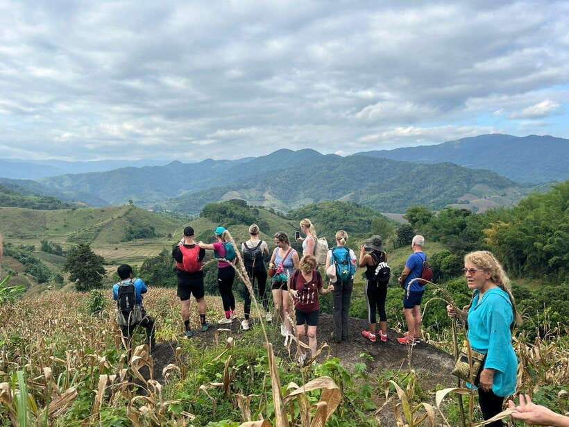 Chiangrai: Group Trekking with Bamboo Cooking - Key points at a glance