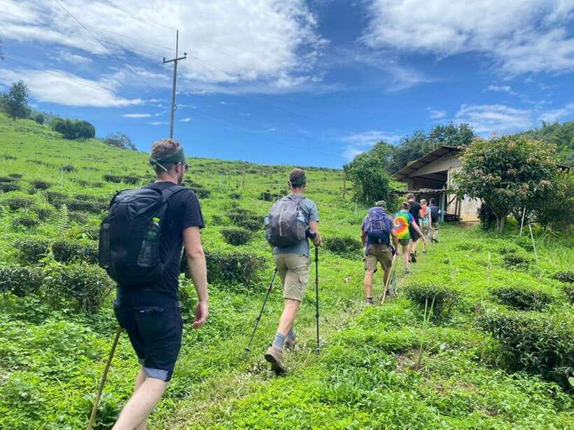 Chiangrai: Group Trekking with Bamboo Cooking - Lisu and Chinese villages give the walk a human focus