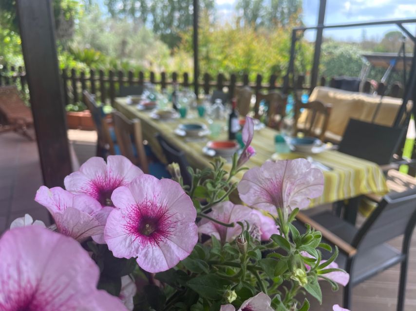 Cooking class, dinner and wine tasting in Lecce (Corigliano) - Is $93 a good value?