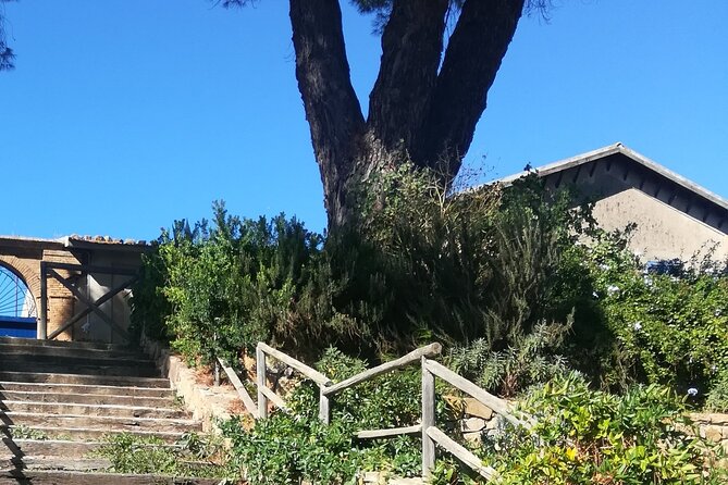 Cooking Class in a Sicilian countryhouse - Understanding the listed route and views