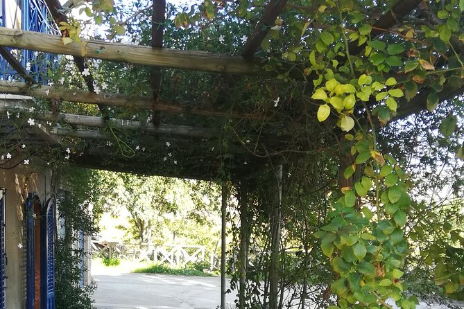 Cooking Class in a Sicilian countryhouse - The practical issue: location and transport