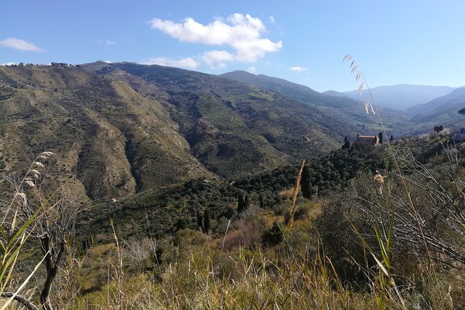 Cooking Class in a Sicilian countryhouse - Is $224.76 per person reasonable?