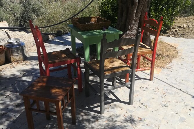 Cooking Class in a Sicilian countryhouse - Who will enjoy this most?