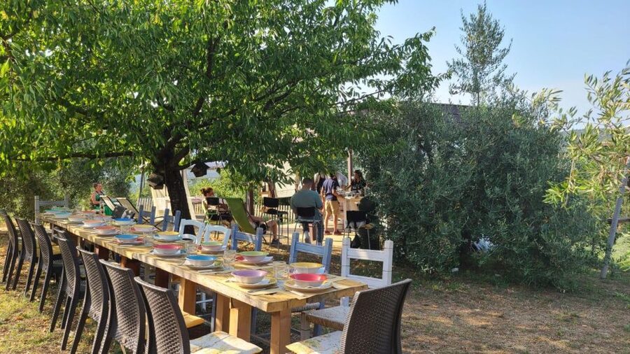Cooking class in our family farm in Chianti with lunch - How the four hours are likely to unfold