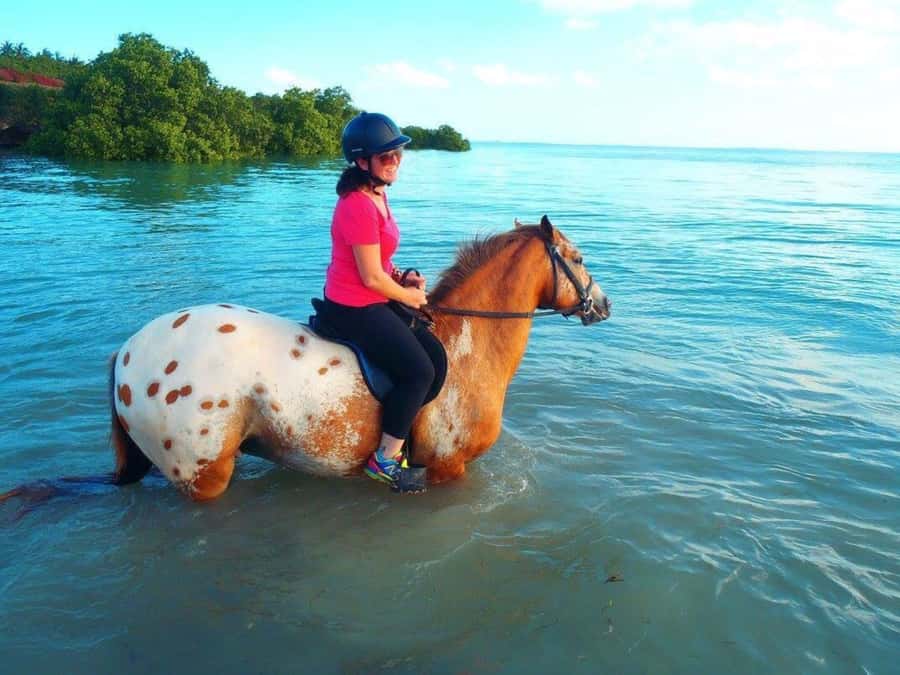 Cooking Class Tour, Stone Town Tour, Horseback Riding - Three hours in Stone Town