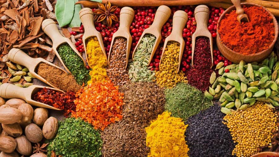 Cooking Class Tour, Stone Town Tour, Horseback Riding - Should you book this Zanzibar day?
