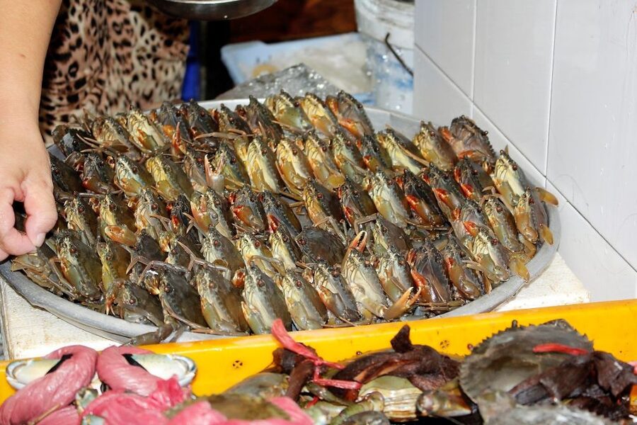 Cooking Class with Ben Thanh Market visit - What the teaching style is like