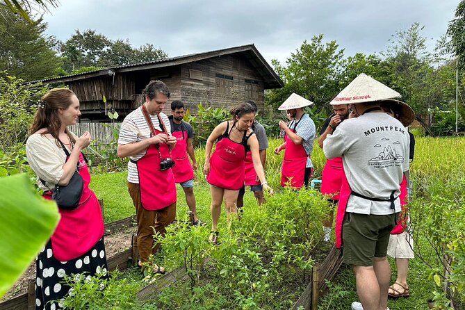 Cooking Class with Organic Farm in Chiang Mai - Key points to know before booking
