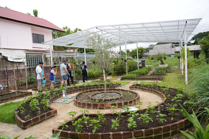 Cooking Class with Organic Farm in Chiang Mai at Mama Noi - A look around Mama Noi’s organic garden