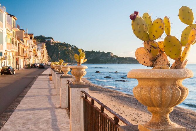 Cooking Class with Seaview with Chef Mimmo - Lunch at the table, with cannoli at the end