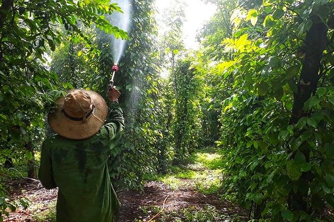 Cooking, Farming and Waterfall In Vietnam Countryside - Key points at a glance