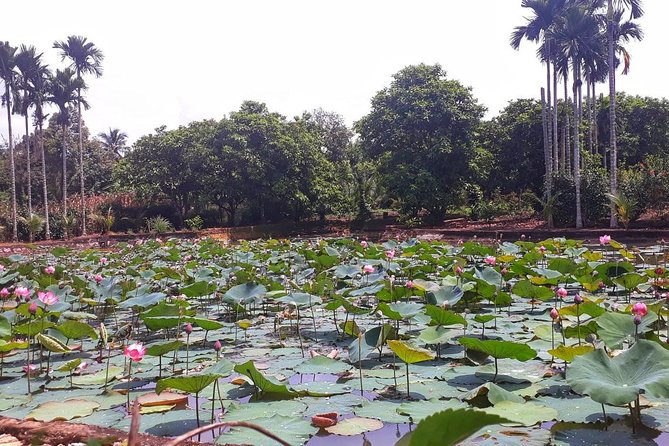 Cooking, Farming and Waterfall In Vietnam Countryside - A coffee morning in Krong Ana