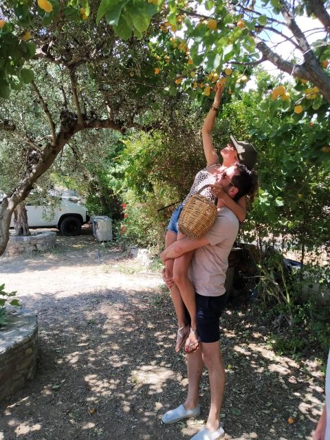Cooking Lesson in Heraclion by Baxes - From garden produce to Cretan recipes