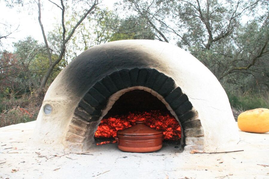 Corfu: Greek Cooking Class & Olive Oil Tasting - The olive grove and old press