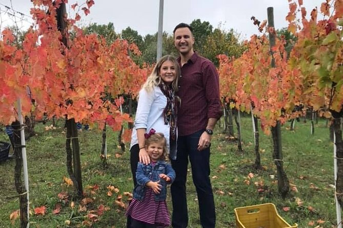 Cortecorbo Irpinia-wines: tour of the vineyards- Cooking class- wine tasting - What the $179.81 price includes in practical terms