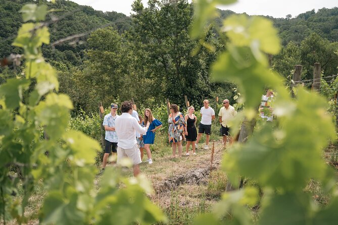 Cortecorbo winery: Pizza Cooking class, lunch & wine tasting - A countryside lunch that keeps coming
