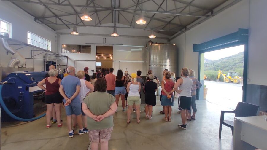 Crete: Sightseeing Day Trip with Cooking Lesson and Lunch - Cooking with Cretan ingredients