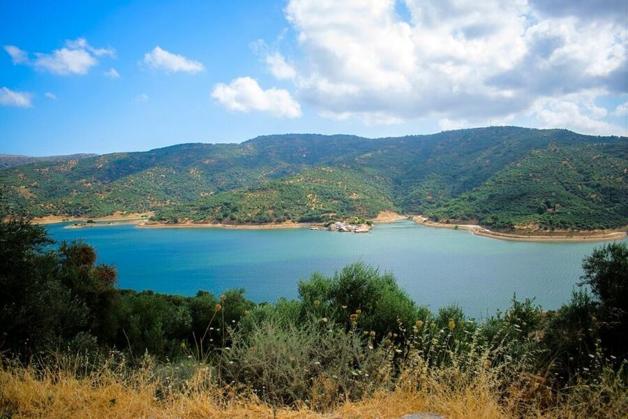 Crete: Sightseeing Day Trip with Cooking Lesson and Lunch - Krasi, aqueducts, and an ancient plane tree