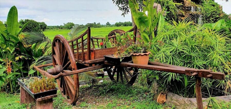 Cultural immersion: Thai cooking, rice farming, eco printing - Key points at a glance