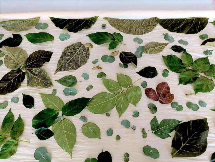 Cultural immersion: Thai cooking, rice farming, eco printing - Leaves, fruit, and eco-printing in the orchard