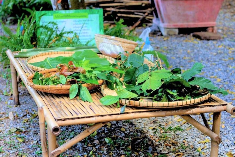Cultural immersion: Thai cooking, rice farming, eco printing - Starting at Nakhon Nayok fresh market