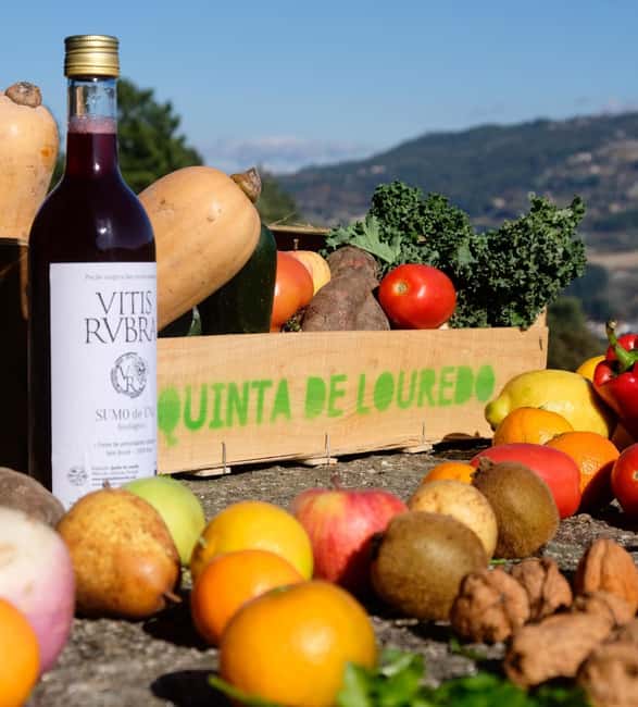 Douro Valley: Traditional Cooking Class, Farm Tour and Lunch - Walking the orchard, vineyard, and animal areas