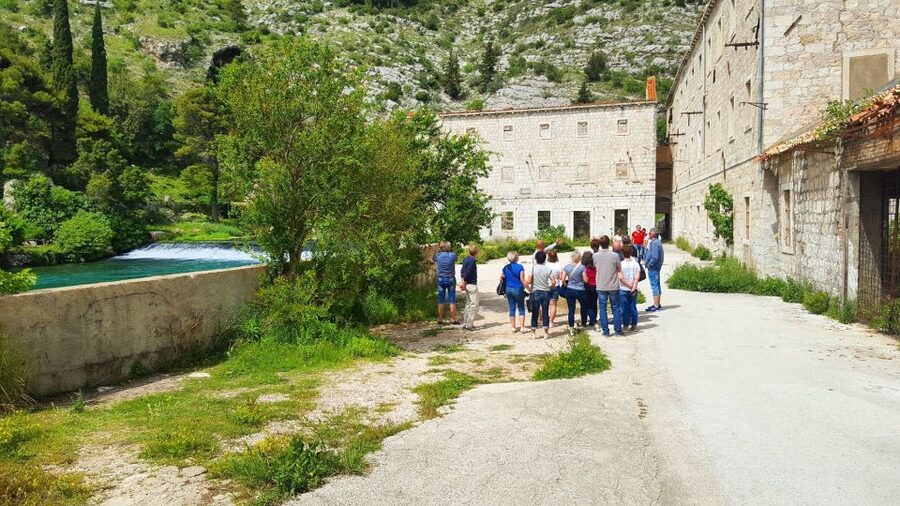Dubrovnik: Private Cooking Experience with Wine Tasting - Who should book this private Dubrovnik day