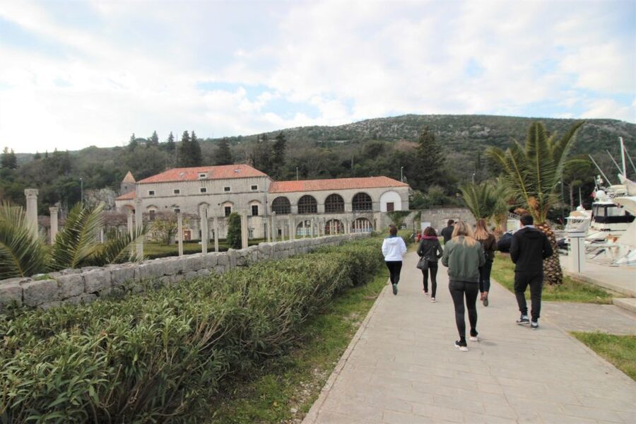 Dubrovnik: Private Cooking Experience with Wine Tasting - Wine tasting on the way to Peljesac