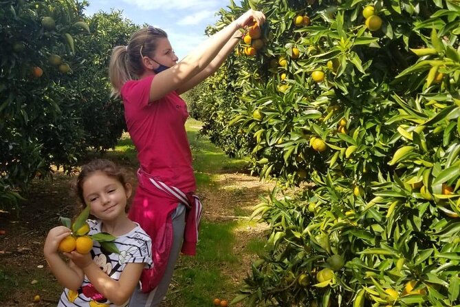 Family Mandarin Farming Tour with Traditional Cooking Lunch - Why the private format is worth considering
