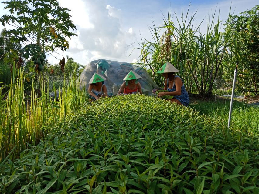 Farm-To-Table Healthy Cooking Class: Half-Day Tour - The medicine garden explains Vietnamese food culture