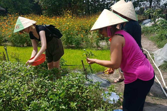 Farm-To-Table Healthy Cooking Class in Ho Chi Minh City - Why the farm setting adds value