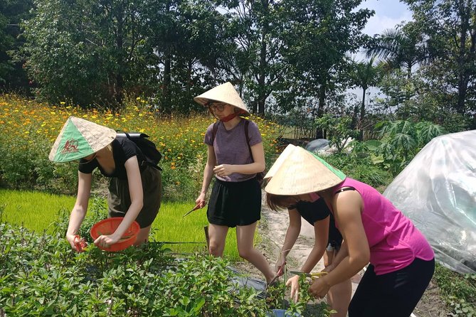 Farm-To-Table Healthy Cooking Class in Ho Chi Minh City - Who will enjoy this most