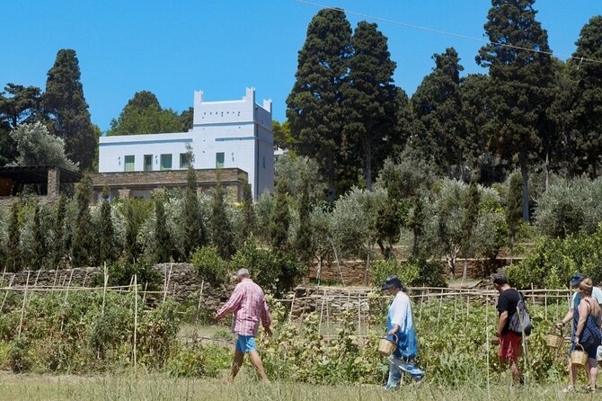 Farm to Table - Local Cooking Experience - Family recipes, local stories, and the pace of the meal