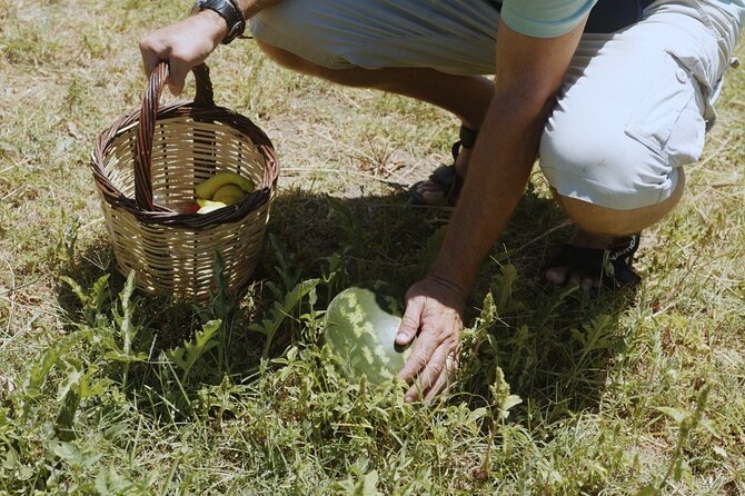 Farm to Table - Local Cooking Experience - Is $313 good value?