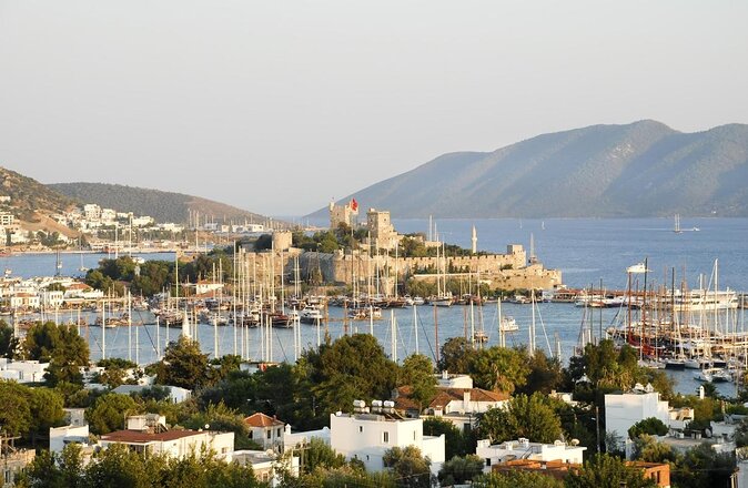 Farmers Market visit & Turkish Cooking Class - At a glance
