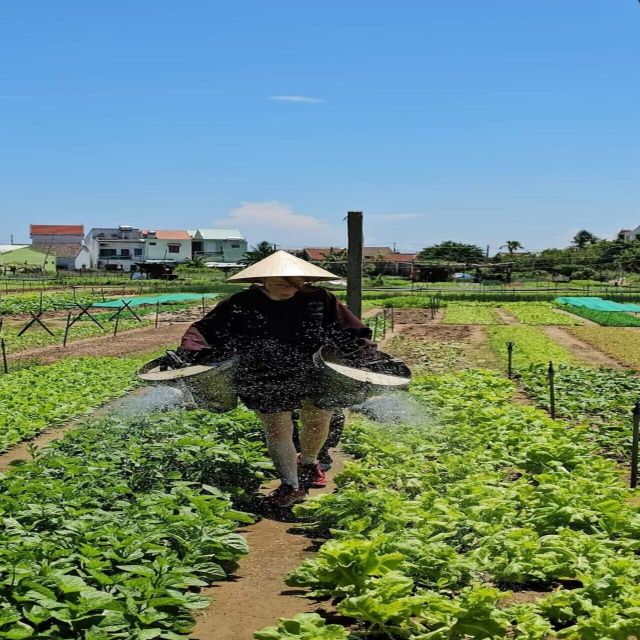 Farming - Local Market - Cooking Class In Tra Que Vegetable - Is $46 a fair price?
