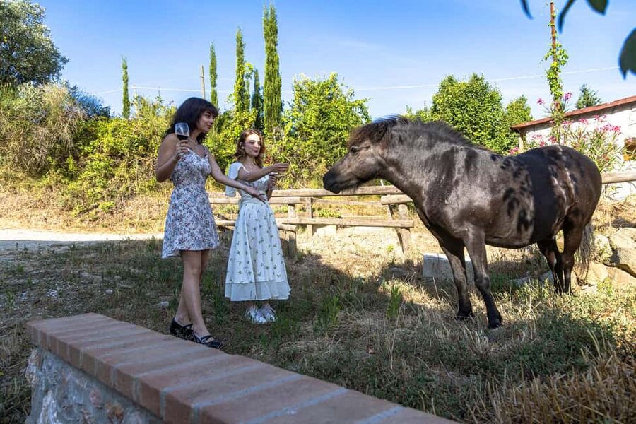 Florence: Cooking Class on a Traditional Tuscan Farm - Leaving Florence for the Chianti hills