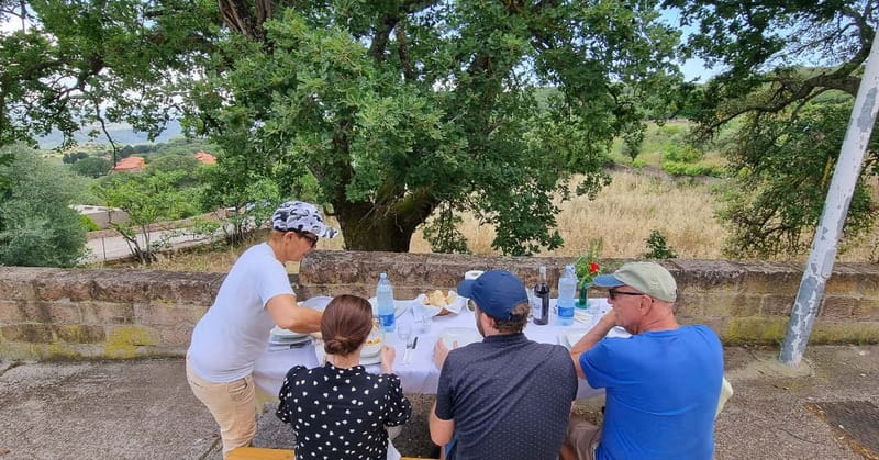 From Alghero: Farm to Table cooking experience in Montresta - Should you book the Montresta cooking experience?