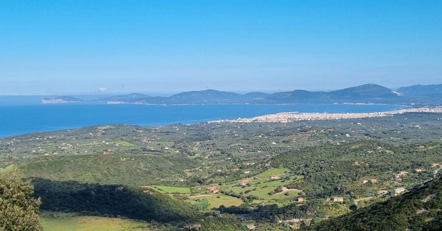 From Alghero: Farm to Table cooking experience in Montresta - The value of a full day in inland Sardinia