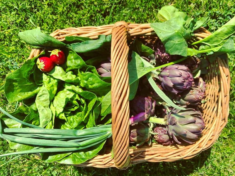 From Florence: Cooking Experience at hilltop farm in Tuscany - Key points to know before you book