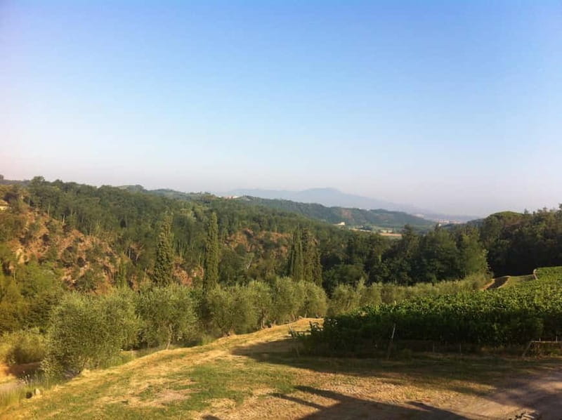 From Florence: Cooking Experience at hilltop farm in Tuscany - Practical preparation for a smooth day
